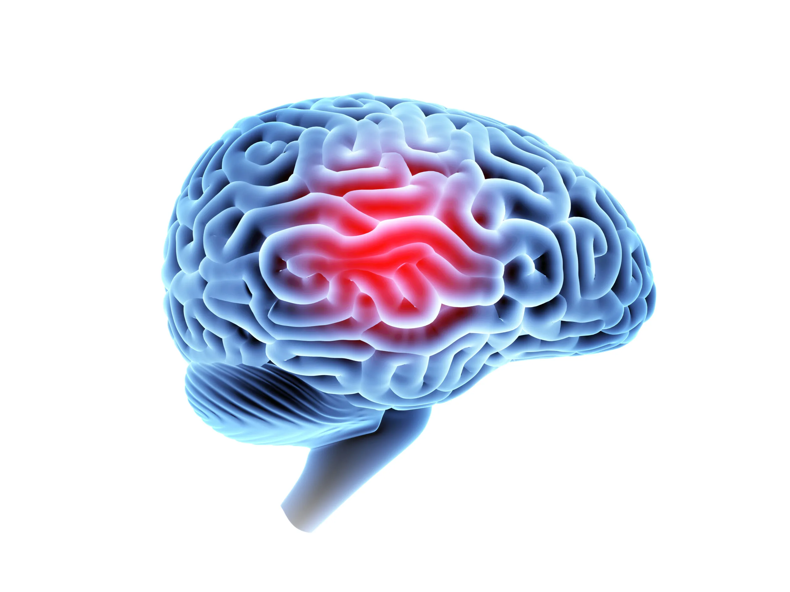 Understanding the Battle Within: TBI vs PTSD