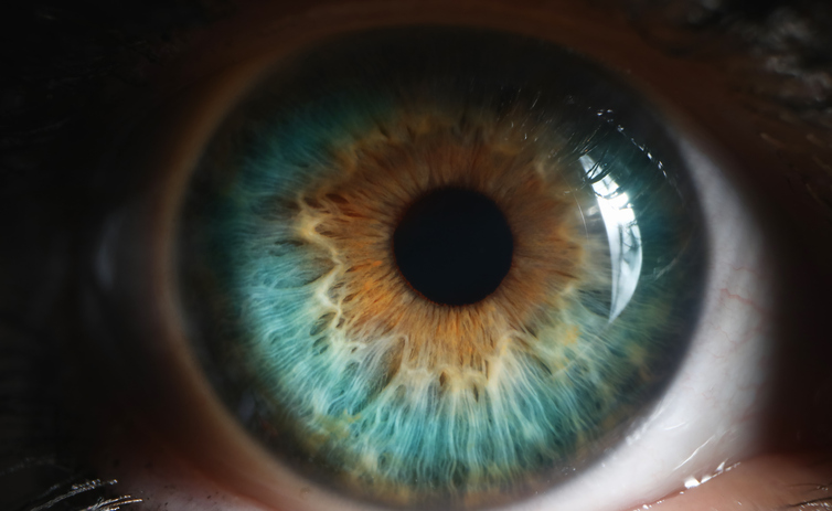 Does Alcohol Make Your Pupils Small? Understanding the Effects of Alcohol on Pupil Size