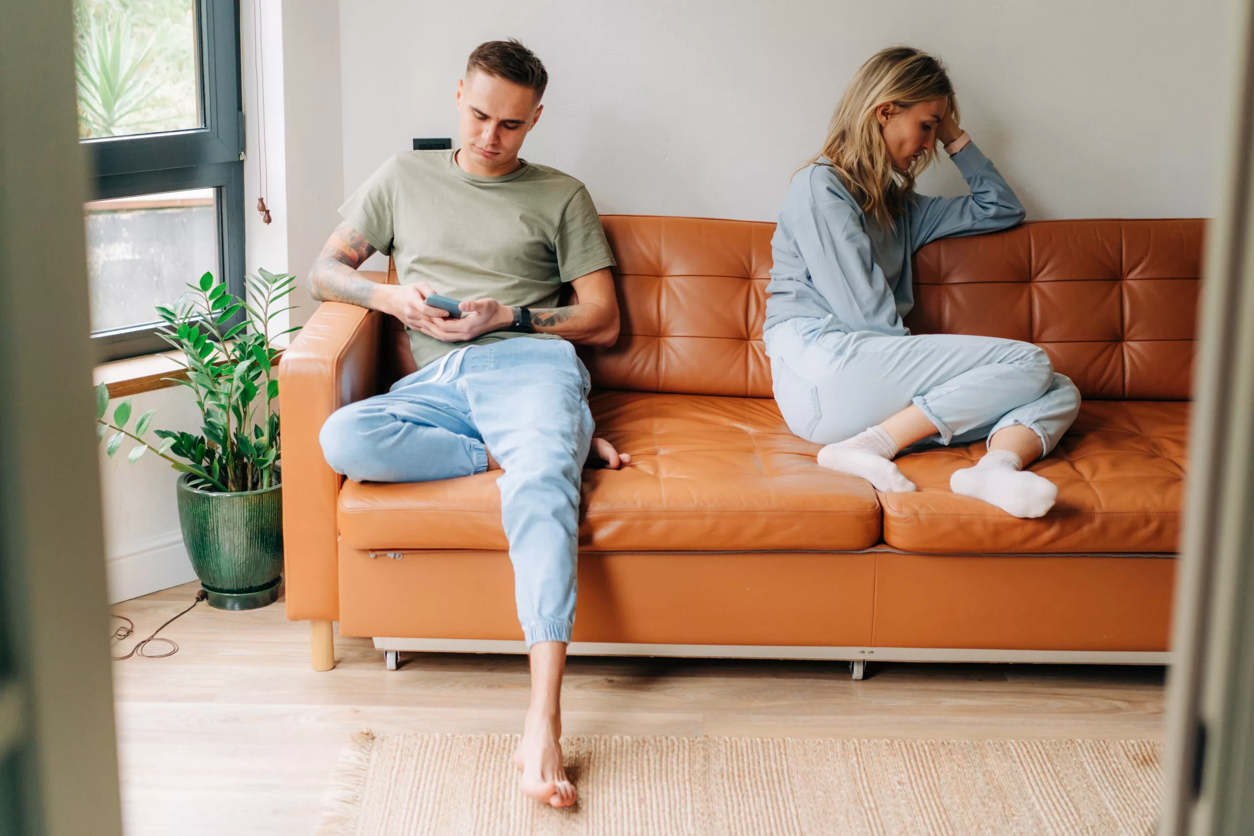 What are Emotional Bids for Attention?